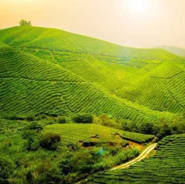 Hotel Garden Reach Kalimpong Dış mekan fotoğraf