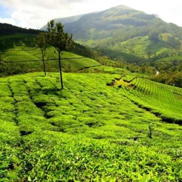 Hotel Garden Reach Kalimpong Dış mekan fotoğraf